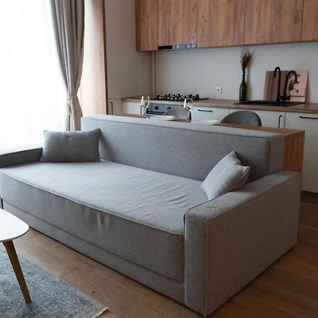Cozy Apartments - Ared Uta Flat Arad Zewnętrze zdjęcie